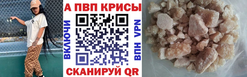 A PVP СК КРИС  Колпашево 