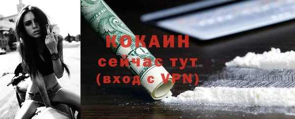 шишки Армянск