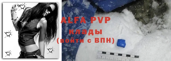гидра Арсеньев