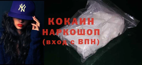 гидра Арсеньев