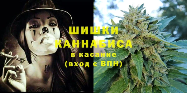 гидра Арсеньев