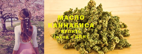 шишки Армянск