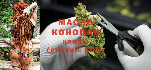 гидра Арсеньев