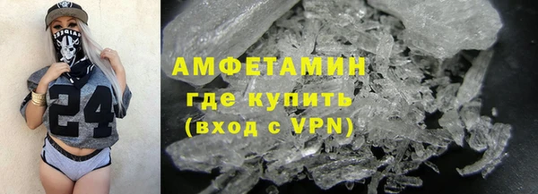 гидра Арсеньев