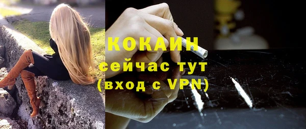 шишки Армянск