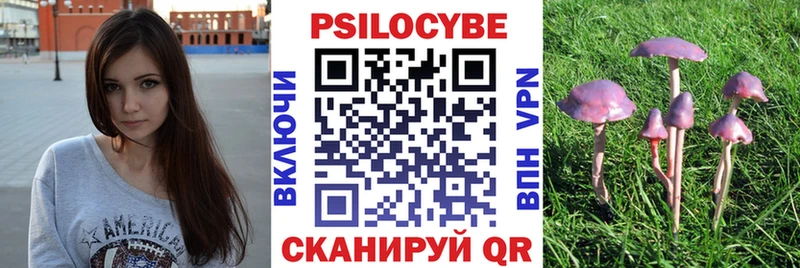 маркетплейс клад  Колпашево  Галлюциногенные грибы прущие грибы 